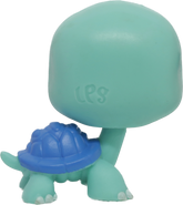 #3-41 Turtle
